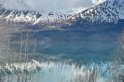 Fulddag Seward Tour