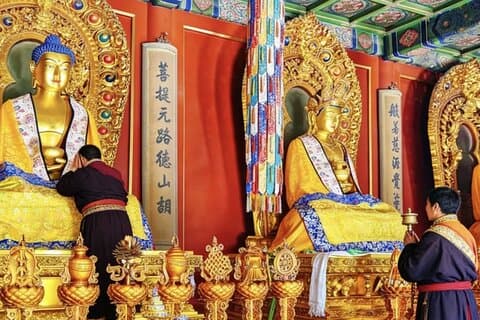Visite privée du temple des Lamas, de la place Tian'anmen et de la Cité interdite
