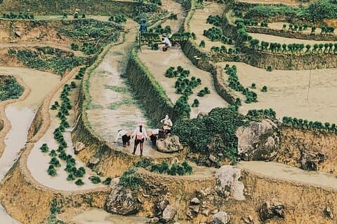 4 - Dagstur til Sapa: Rice terrasser, landsbyer og husholdninger