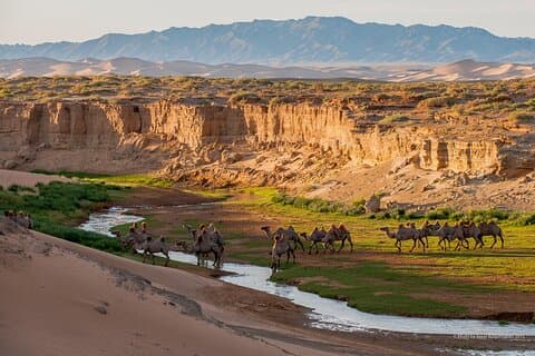 Tour di 8 giorni nel deserto del Gobi della Mongolia serena