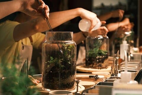 Crea tu propio taller de terrario de jardín de vidrio en Milán