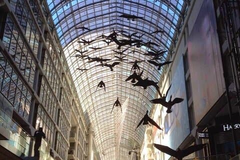 Warm Winter Walk Toronto’s Indoor City Highlights