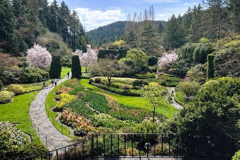 Victoria Highlights Butchart Gardens, Empress, Chinatown (1-5pax)