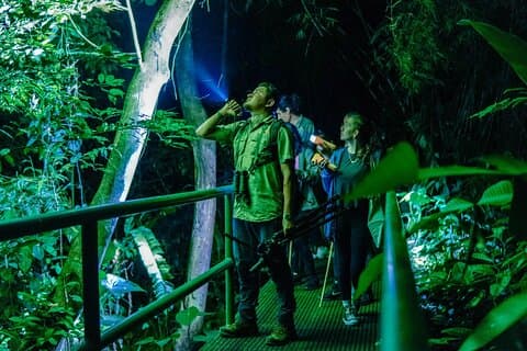 Begeleide nachtelijke junglewandeling in de buurt van Arenal Volcano - Kikkers & wilde dieren