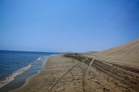 Doha Desert Safari Inland Sea Dune Bashing and City Tour Combo