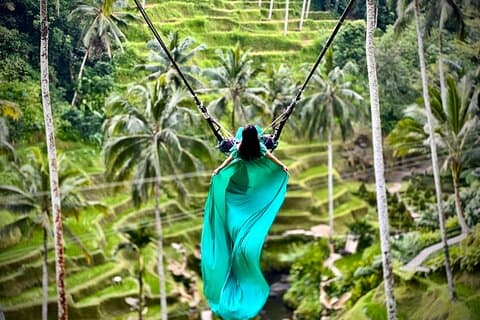 Bali || Ubud Highlights Private Tagestour - All Inclusive