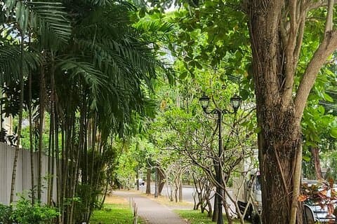 Colombo Private Walking Tour med en lokal