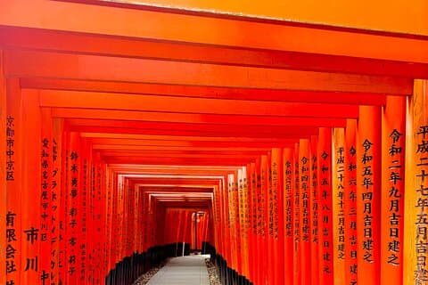 Kyoto&Nara Day Tour | English Guide & Private Vehicle