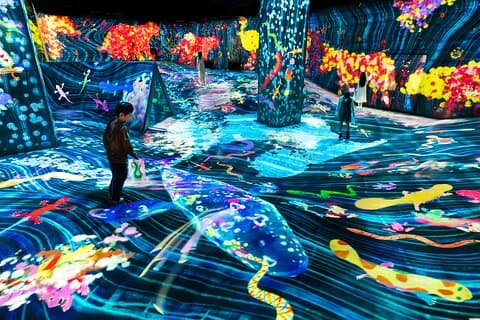 Tokyo : TeamLab privat transfer med hotellets upphämtning och avlämning