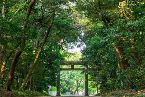 Tokyo popkultur og tradisjon tur: Meiji Shrine til Harajuku