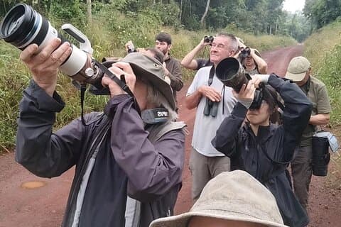 Iguazú Birdwatching Tours Esplora gli uccelli e la natura argentina