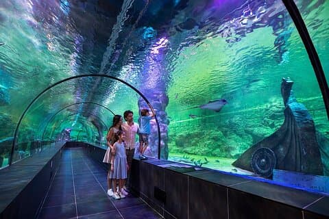 Viaport Aquarium billet med valgfri hotel transfer