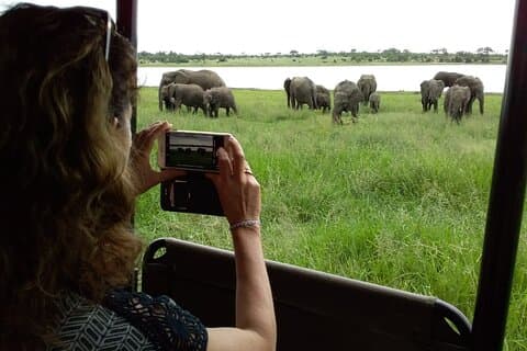 Aventure guidée d'une journée dans le parc national Kruger