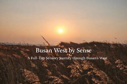 Viaggio dei cinque sensi a Busan Giornata intera