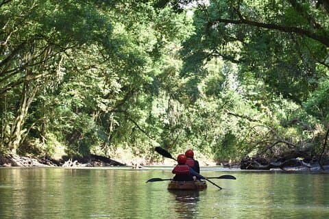 Peñas Blancas River : Wildlife Safari Experience by Kayak