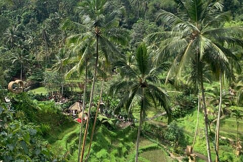 Bali Ubud : Full or Half Day Private Adventure Tour