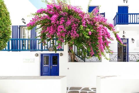 Tour privado em Mykonos com um local