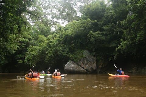 Leisure Rainforest Kayaking & Village Lunch from Kuching