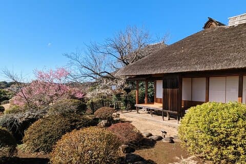 茨城：日本三名園のひとつ「偕楽園」