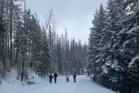 Private Guided Snowshoe Adventure in Glacier National Park