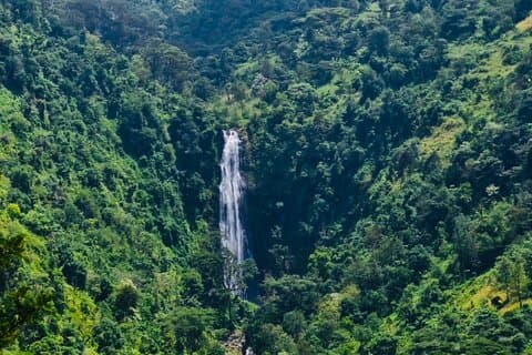 Moshi - Arusha: Materuni Waterfalls Hike and Organic Coffee Tour