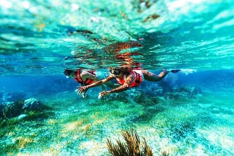 Cancún Combo : Tuba de récif à Puerto Morelos et visite de la jungle en VTT