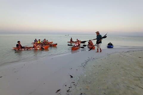 Mangrove Kayaking in Holbox