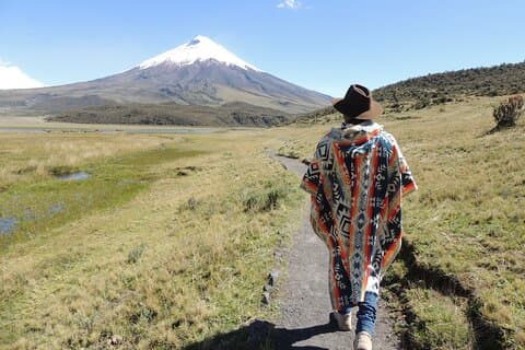 Excursión de un día al volcán Cotopaxi con almuerzo en Colonial Farm