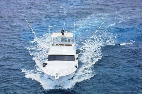Privéjachtcruise Montego Bay en Falmouth naar Luminous Lagoon