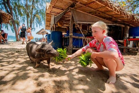 Koh Madsum and Koh Tan Snorkeling Trip By Speedboat From Koh Samui