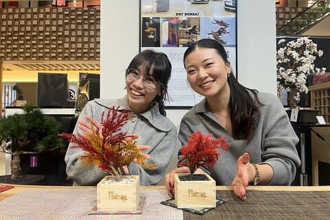 京都の乾燥盆栽ワークショップで自分だけの盆栽を作る