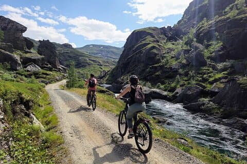 Utforska Norges fjäll (1 dag) med elcykel + tåg