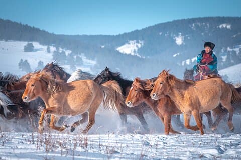 Fira Mongoliets nyår på nomadiskt sätt