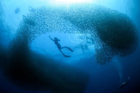 Cebu Tour paket 3D2N