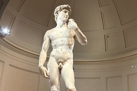 Ekspert guidet Accademia Gallery tur i David av Firenze