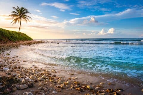 Hoteller i nærheden af Montego Bay Private Shore Tour: Bamboo Rafting & Blue Hole Escape