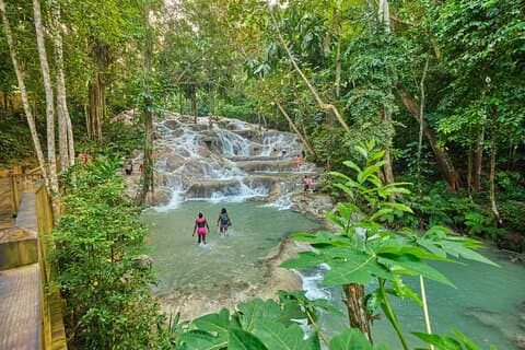 Ocho Rios Hoogtepunten Ontdekking – Privé Shore Tour 4 uur