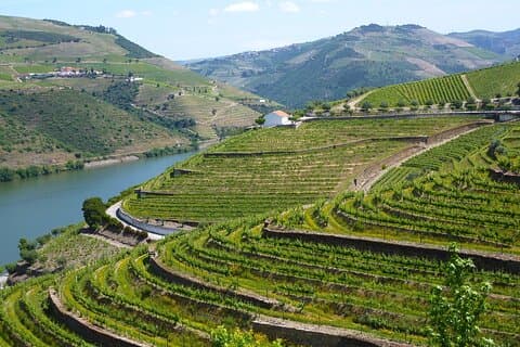 Privat helgedagstur med kjøring fra Lisboa til Douro-dalen