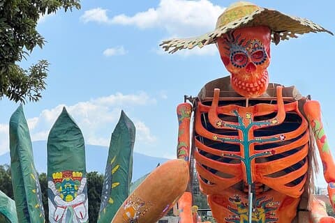 Privétour in Mexico-Stad naar de Vallei van Catrinas (Dag van de Doden)