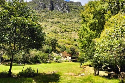 Private Tour to Santiago Apoala Oaxaca
