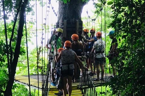 Hoteller i nærheden af Zipline + City Tour & Sanctuary Park