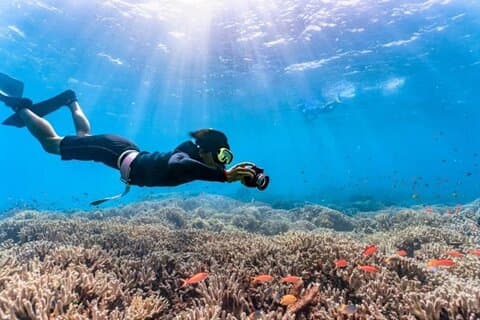 Okinawa Blue Cave Free Diving Adventure mit kostenlosen Fotos
