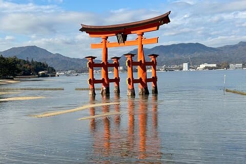 Hiroshima och Miyajima 6.5h privat Engelska tur