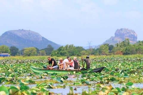 Kandy till Sigiriya Lyxdagstur med privat fordon