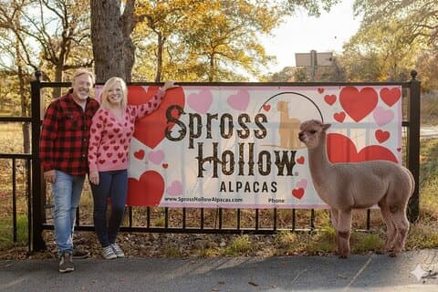 Alpaca Experience Tour