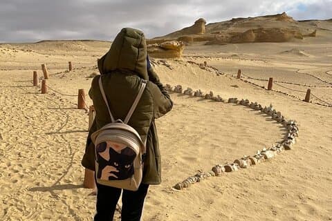 All inklusive Fayoum (Tickets-Auto-Fortgeschrittener-Mittags-Safari-Sand.Pension)