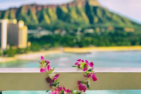 Lei Greeting Private Transfer Arrival HNL Airport to Waikiki