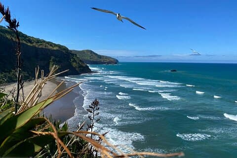 Black Sand Beaches & Birds Auckland Sightseeing Tour