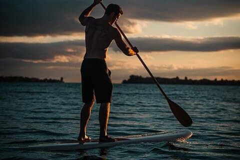 **Cruise Ship**E-Paddle Boarding Experience with Snorkel & Lunch