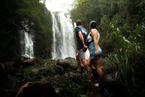 Private Hana Waterfall Jungle Hike Fotos profissionais Opcional